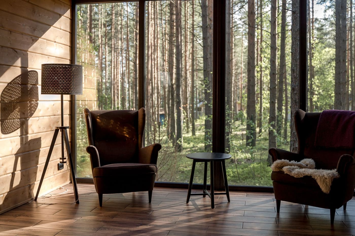 A quiet room with two armchairs and a lamp facing large windows onto a pine forest